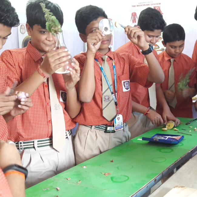 Science Learning